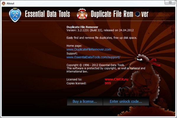 Duplicate File Remover
