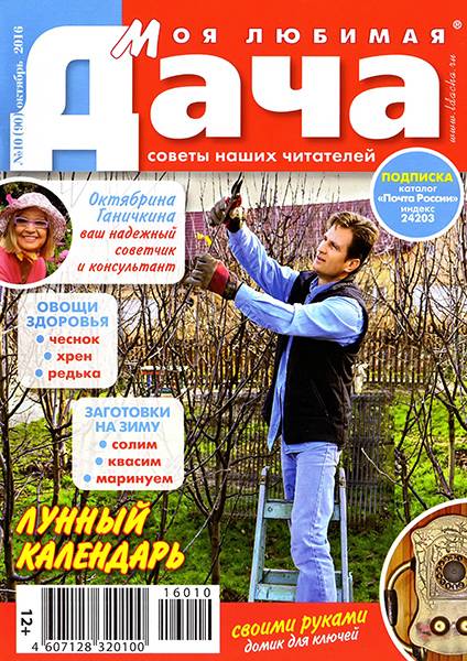 Моя любимая дача №10 2016