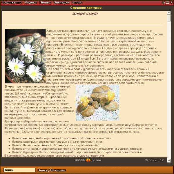 Энциклопедия комнатных растений