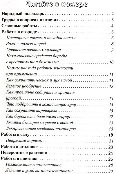 Бабушкина грядка №8 (август 2012)