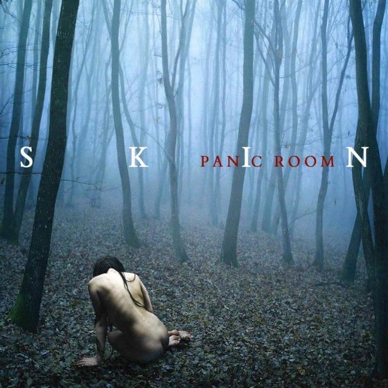 скачать Panic Room. Skin (2012)