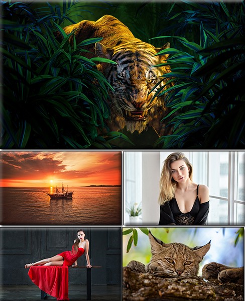 Computer Desktop Wallpap…Collection. www.cwer.ru