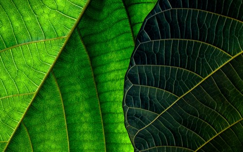 Computer Desktop Wallpapers Collection. www.cwer.ru