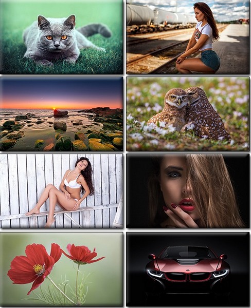 Computer Desktop Wallpapers Collection. www.cwer.ru