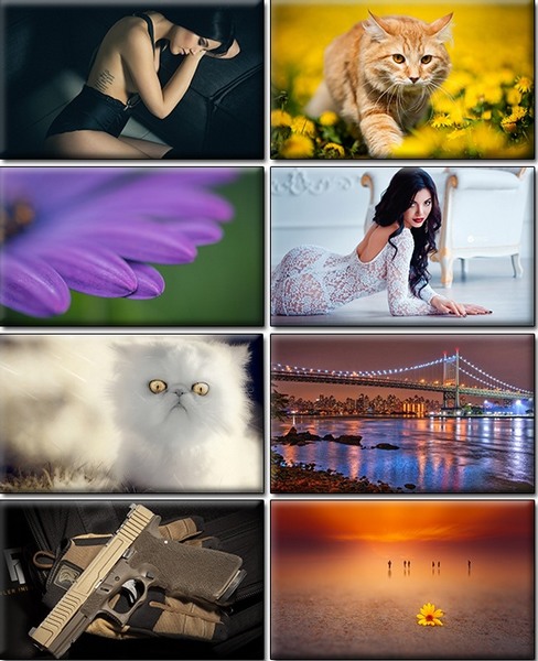 Computer Desktop Wallpapers Collection. www.cwer.ru