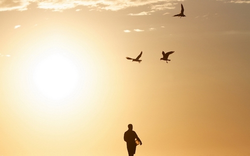 Computer Desktop Wallpapers Collection. www.cwer.ru