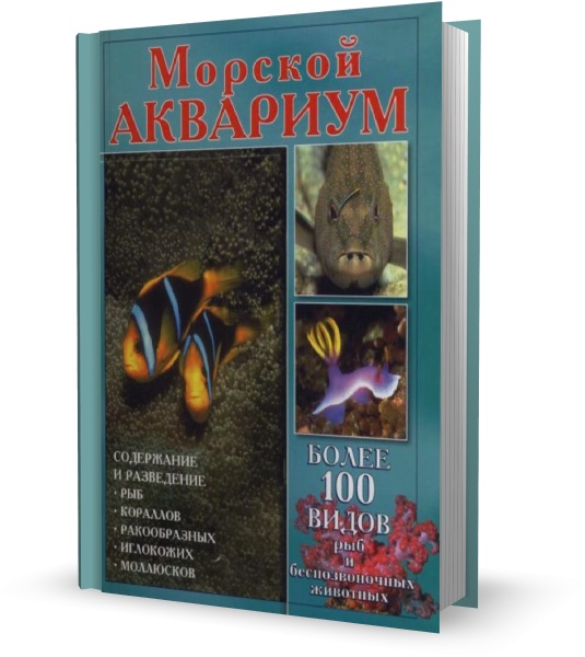 Морской аквариум. Содержание и разведение рыб в морских аквариумах