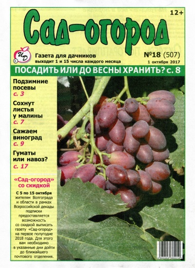 Сад-огород 18 2017