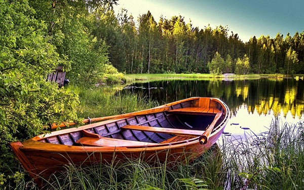 Fresh Computer Wallpapers #321