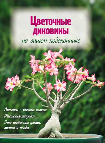 Цветочные диковины на вашем подоконнике