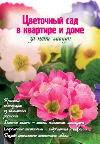 Цветочный сад в квартире и доме за пять минут