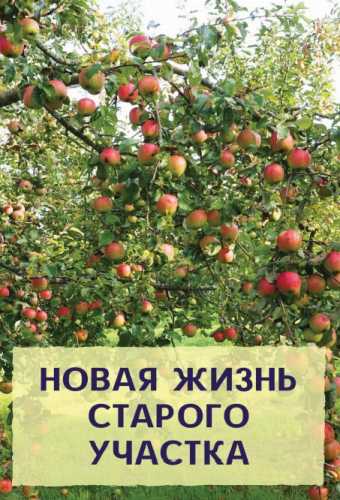 Новая жизнь старого участка