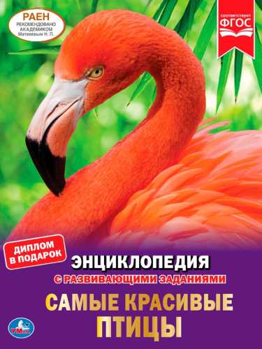 Самые красивые птицы