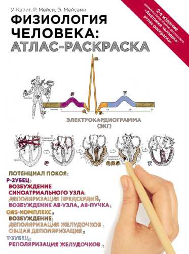 Физиология человека