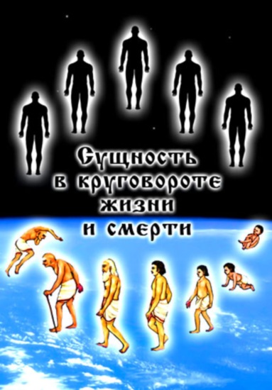 Сущность в круговороте жизни и смерти