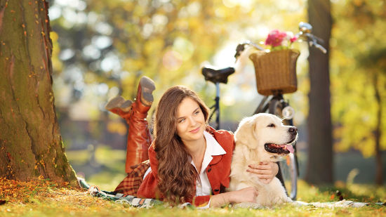 Mixed Wallpapers Collections