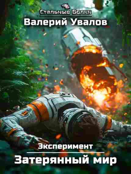 eksperiment-kniga-1-zateryannyy-mir