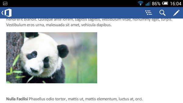 Microsoft Office Mobile