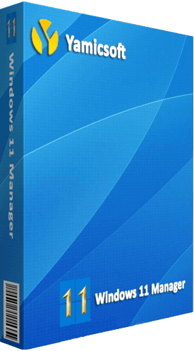Windows 11 Manager