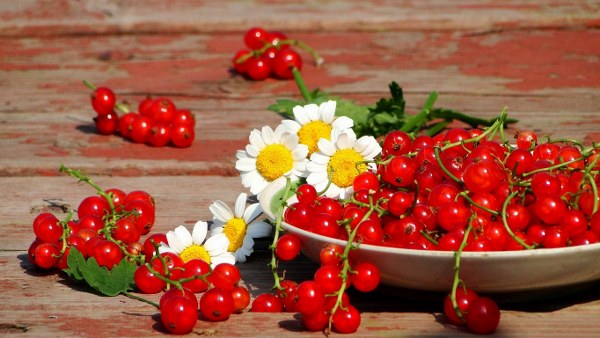 Best Mixed Wallpapers Pack #465-466