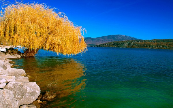 Best Mixed Wallpapers Pack #455-456