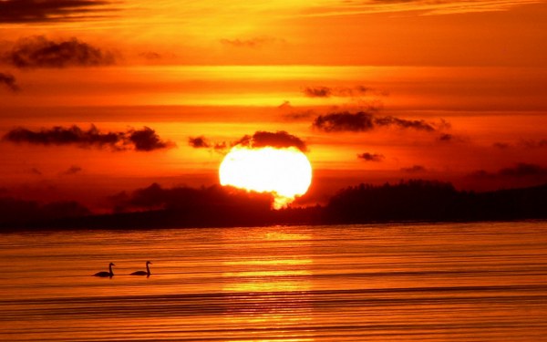 New Mixed HD Wallpapers Pack 320