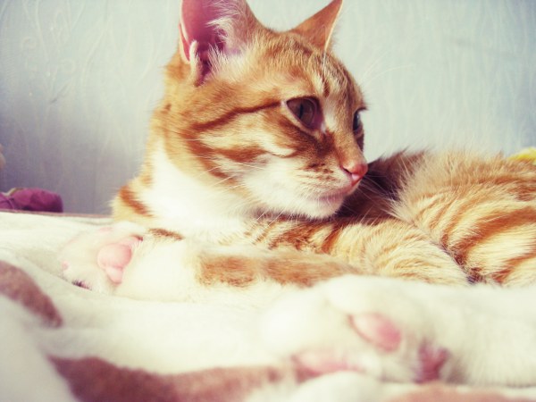 Best Mixed Wallpapers Pack #381-382