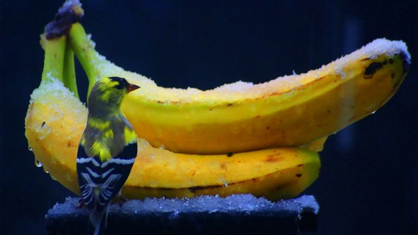 Best Mixed Wallpapers Pack #323-324