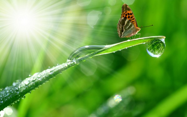 New Mixed HD Wallpapers Pack 223