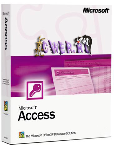 Portable Microsoft Access 2003