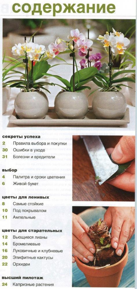 Коллекция садовника №14 (2010)