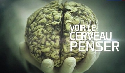 Как думает наш мозг